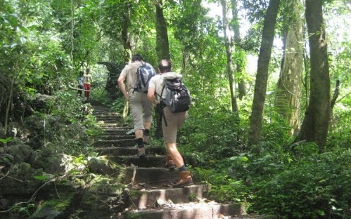 Ninh Binh - Cuc Phuong National Park 2 Days 1 Night